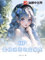 HP：霍格沃茨的交换生